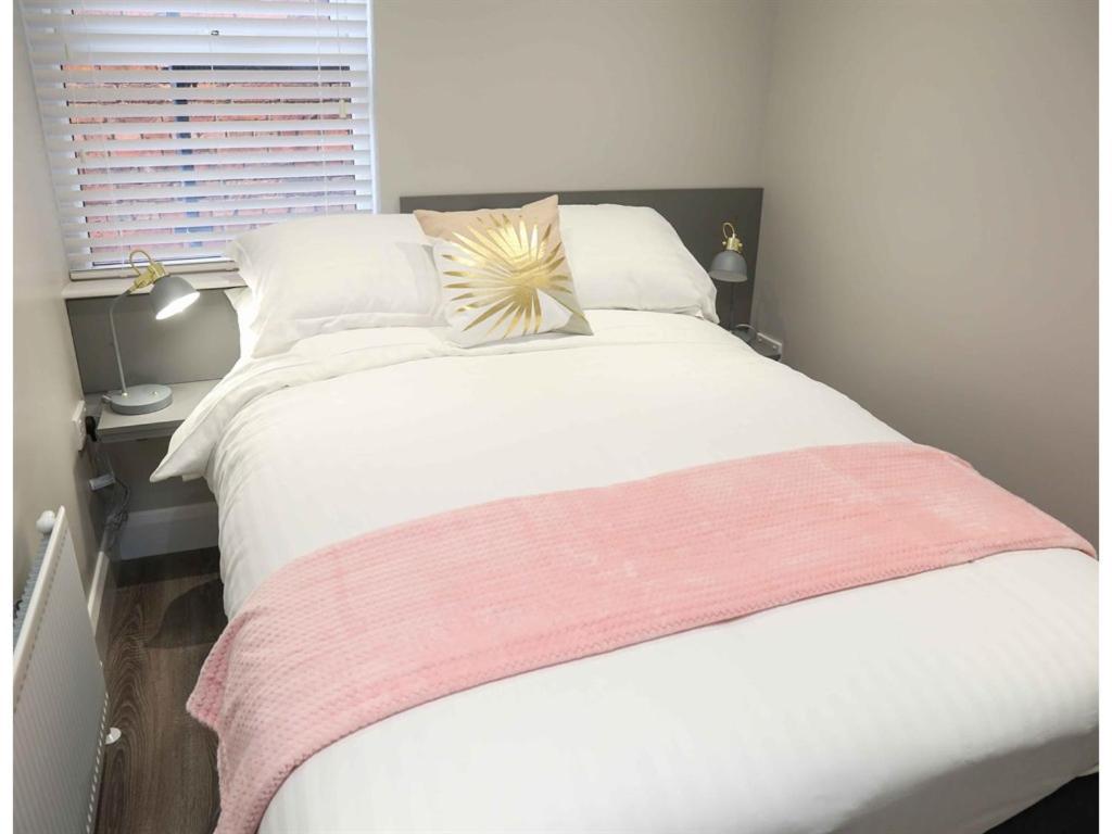 Belfast Serviced Apartments - Eglantine Exteriör bild